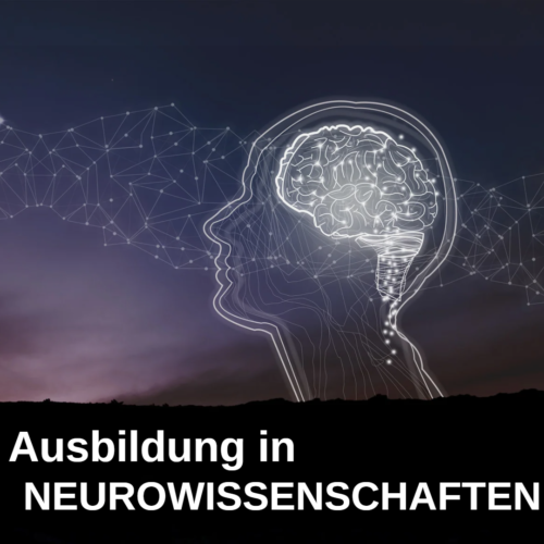 Neurowissenschaften