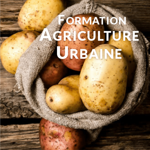 Agriculture Urbaine