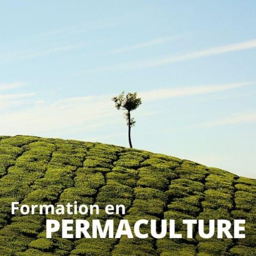 Permaculture