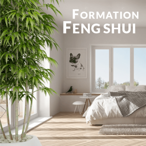 Feng Shui