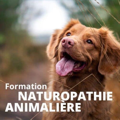 Naturopathie animalière