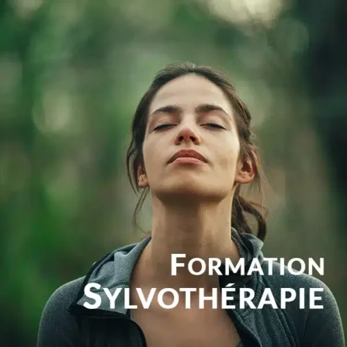 Sylvothérapie