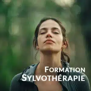 Formation en sylvothérapie